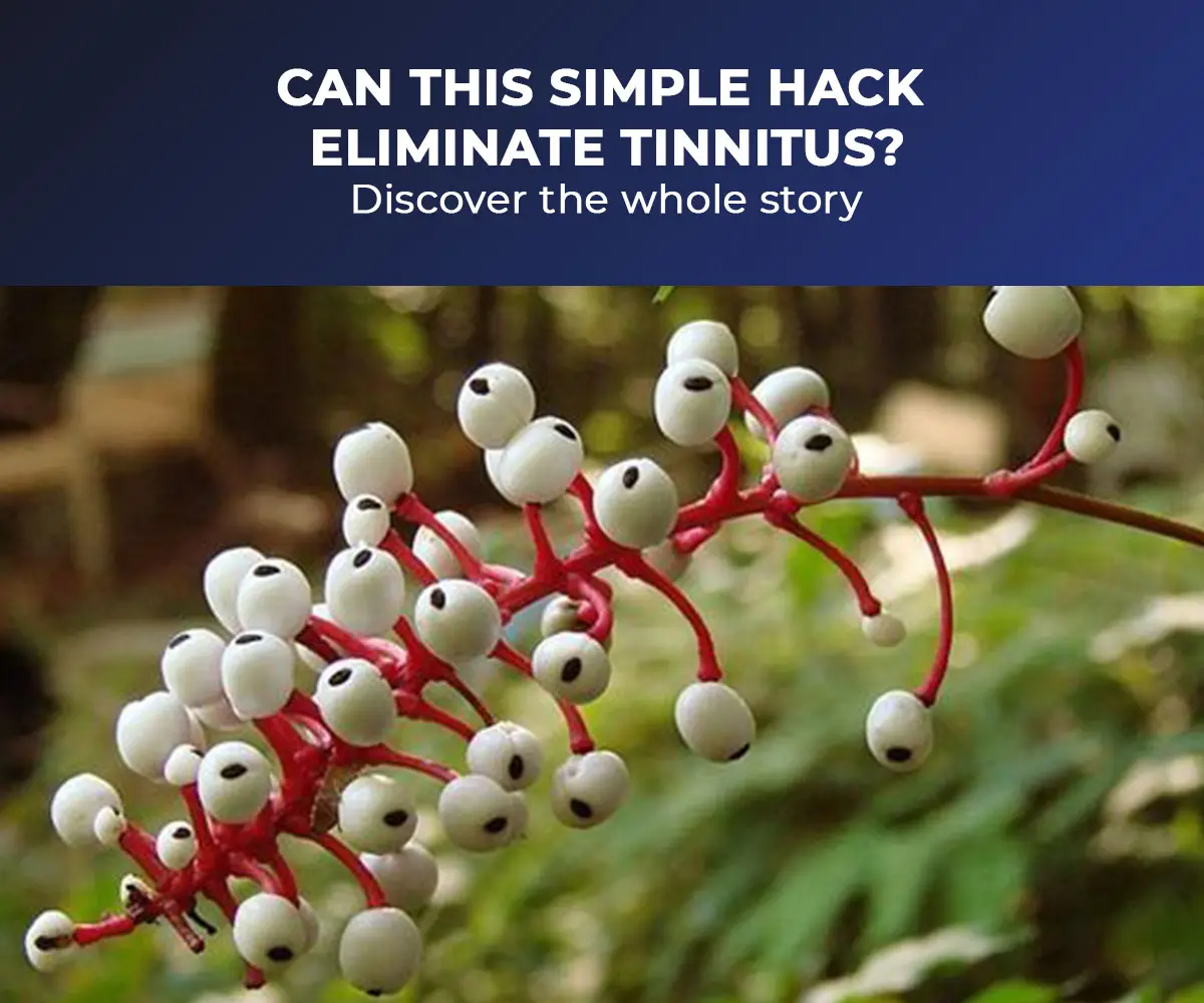 Audifort Hearing Support Benefits